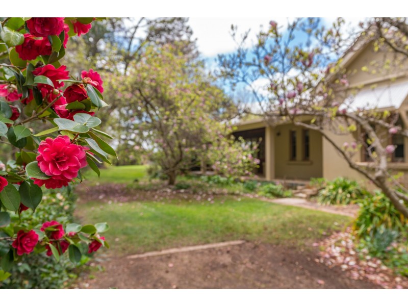 1162 Forest Road, Orange NSW 2800