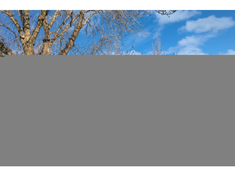 41 Kite Street, Orange NSW 2800