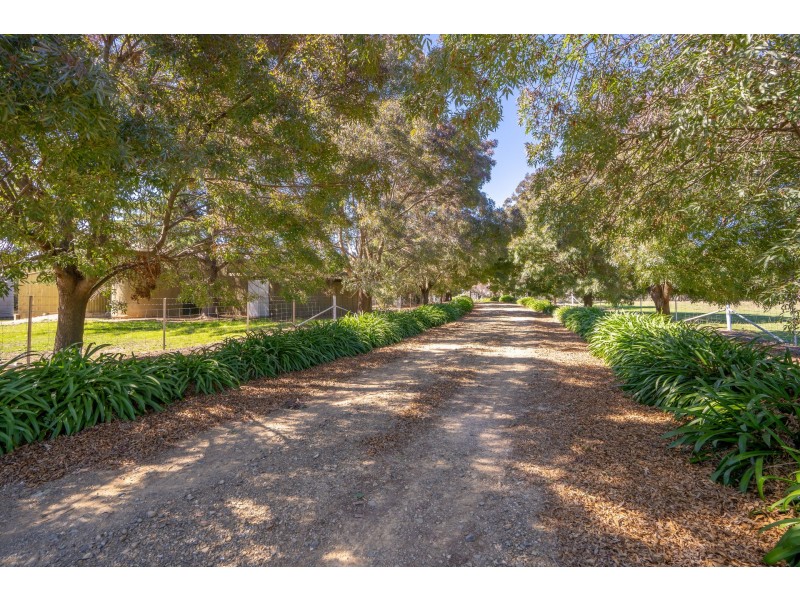 38 Kent Road, Orange NSW 2800