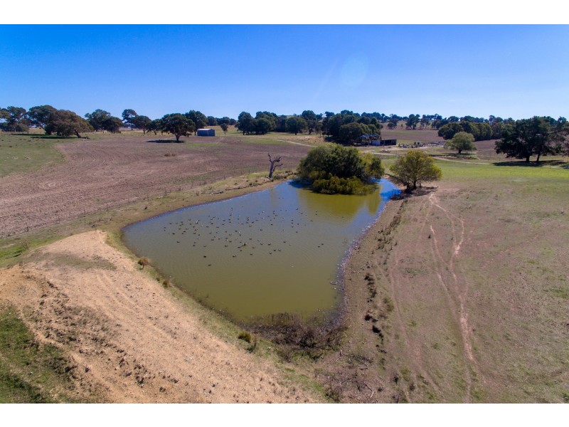 38 Kent Road, Orange NSW 2800