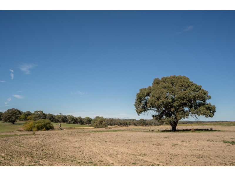 38 Kent Road, Orange NSW 2800