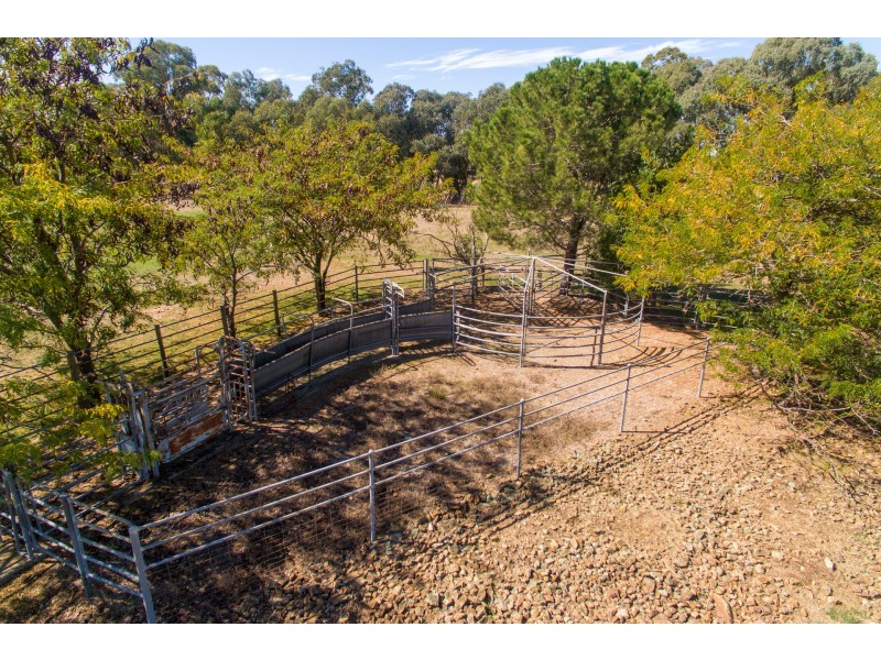 38 Kent Road, Orange NSW 2800