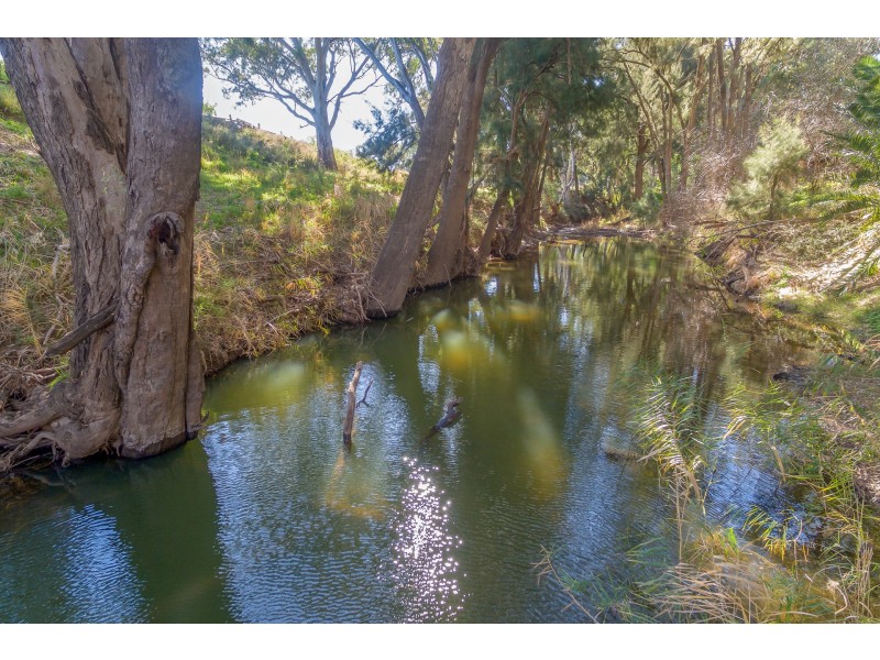 34 Grevillea Avenue, Eugowra NSW 2806