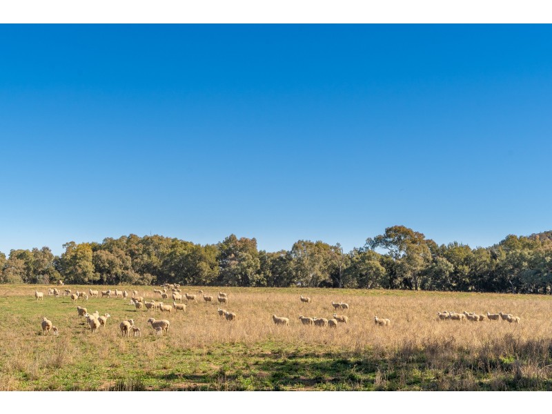 34 Grevillea Avenue, Eugowra NSW 2806
