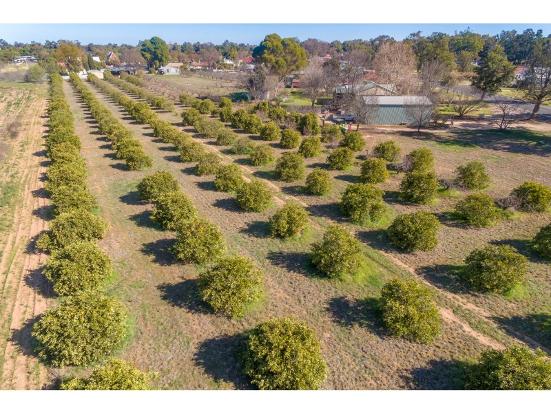 34 Grevillea Avenue, Eugowra NSW 2806