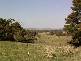 Woodrising Berrilee Lane, Orange NSW 2800