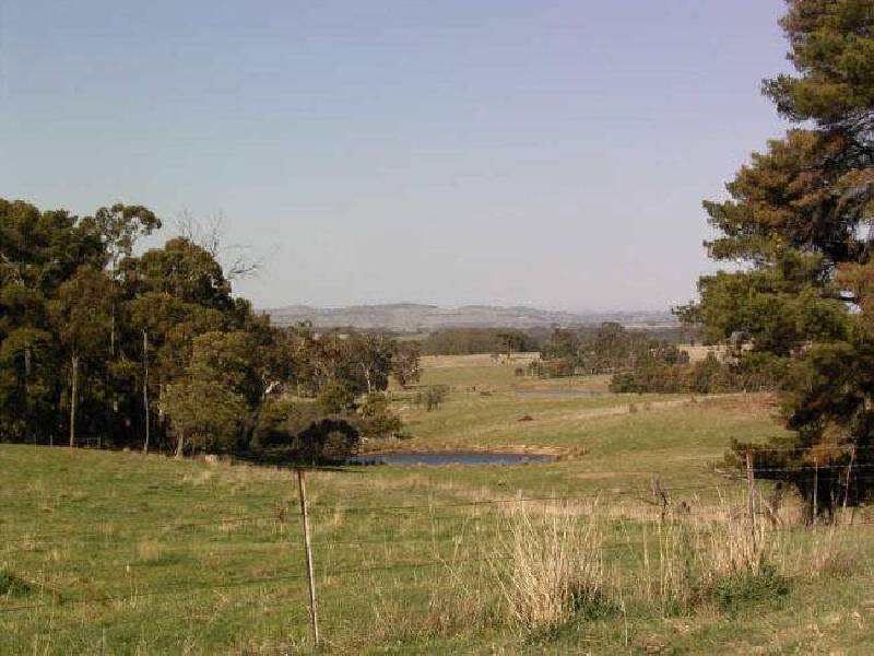 Woodrising Berrilee Lane, Orange NSW 2800