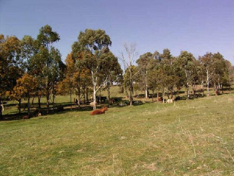 Woodrising Berrilee Lane, Orange NSW 2800