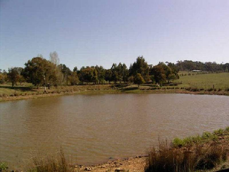 Woodrising Berrilee Lane, Orange NSW 2800