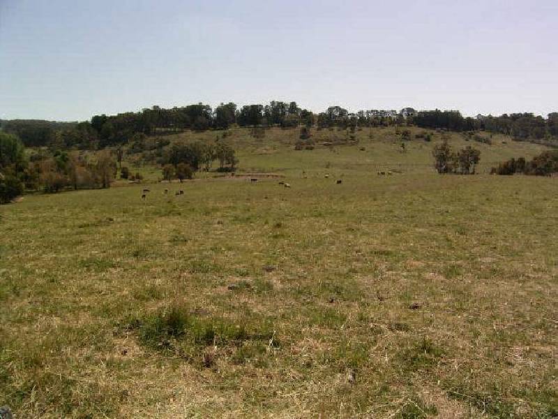 Woodrising Berrilee Lane, Orange NSW 2800