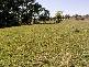 Woodrising Berrilee Lane, Orange NSW 2800