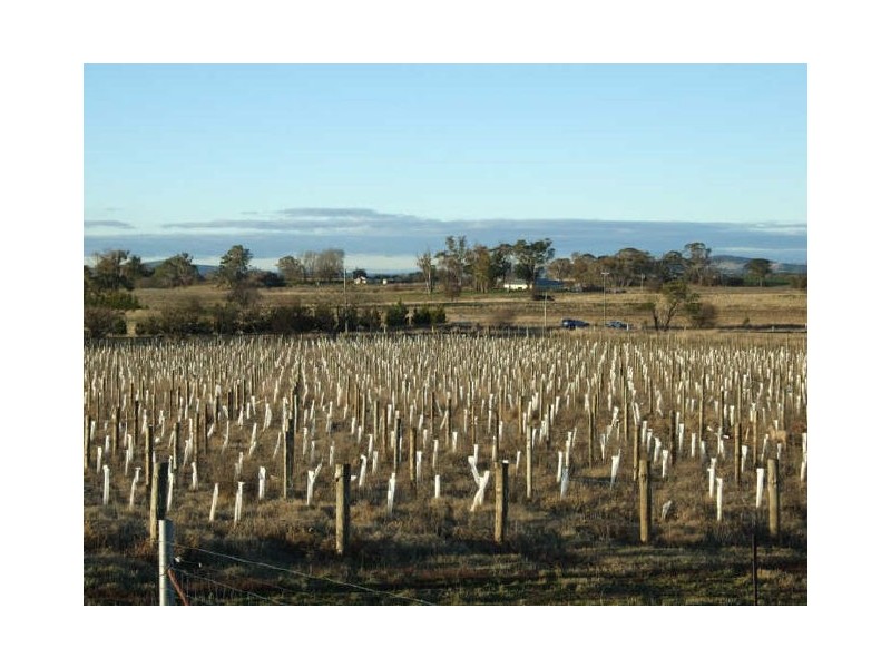 “The Krest”/1727 Forest Reefs Road, Spring Terrace NSW 2798