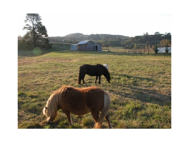 189 Berrilee Road, Orange NSW 2800