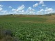 “Riverview”, Blayney NSW 2799