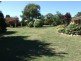 35 Ploughmans Lane, Orange NSW 2800