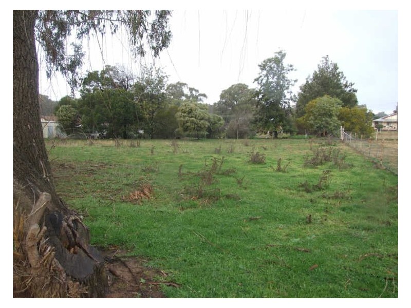 37 Belmore Street, Cargo NSW 2800