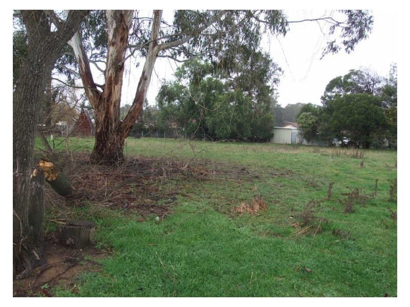 37 Belmore Street, Cargo NSW 2800