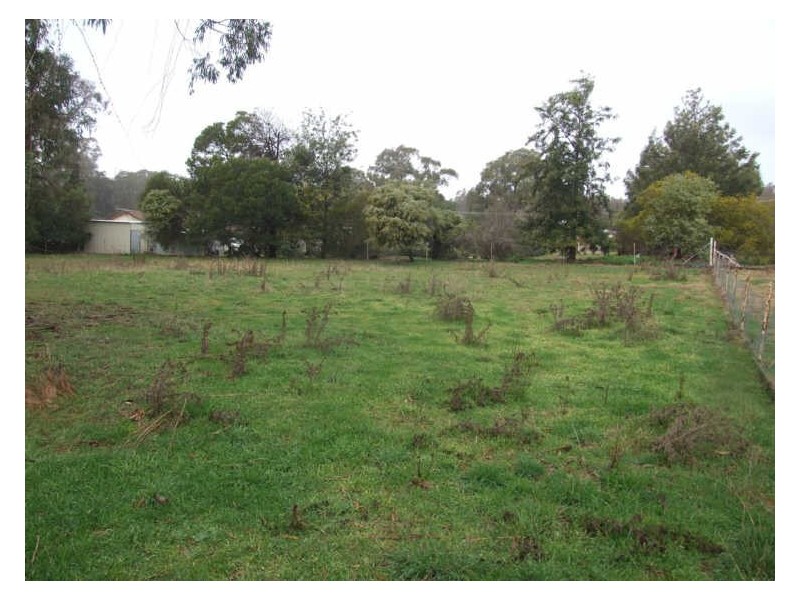 37 Belmore Street, Cargo NSW 2800