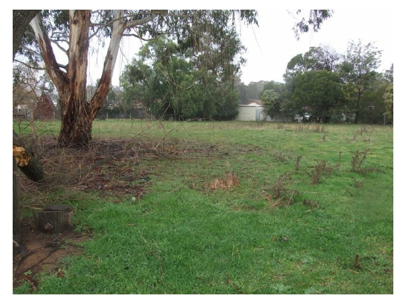 37 Belmore Street, Cargo NSW 2800