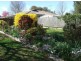 2 Prunus Avenue, Orange NSW 2800