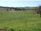 Matuga Forbes Road, Orange NSW 2800