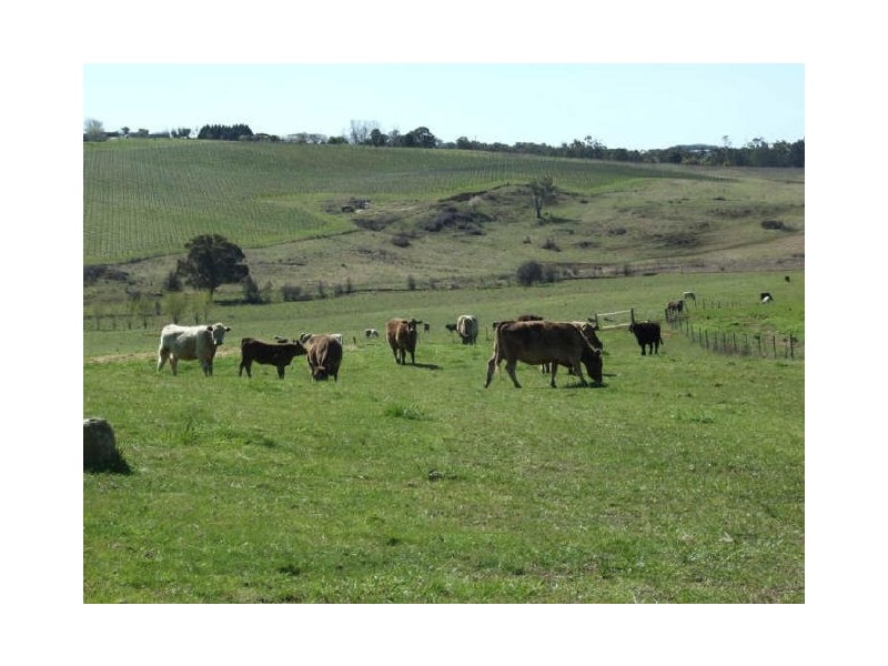 Matuga Forbes Road, Orange NSW 2800