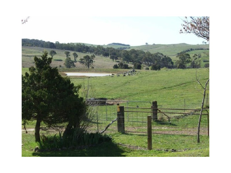 Matuga Forbes Road, Orange NSW 2800