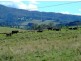 Matuga Forbes Road, Orange NSW 2800