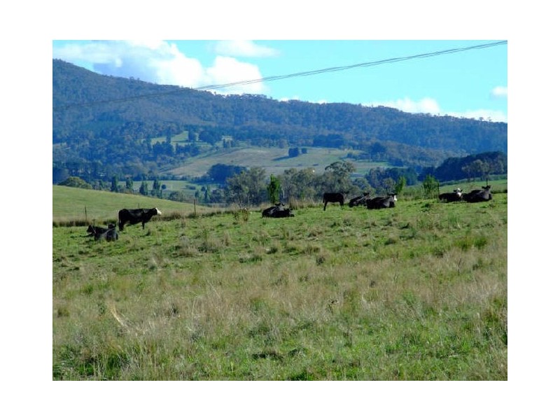 Matuga Forbes Road, Orange NSW 2800