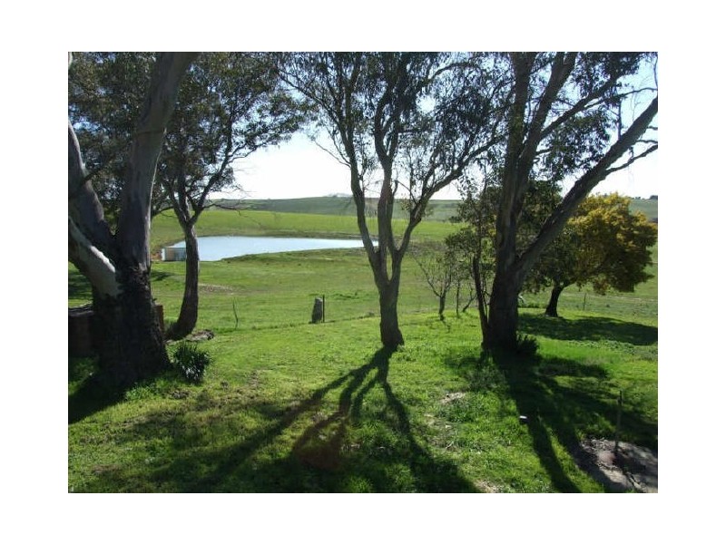 Matuga Forbes Road, Orange NSW 2800