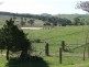Matuga Forbes Road, Orange NSW 2800