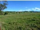Matuga Forbes Road, Orange NSW 2800