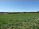 Matuga Forbes Road, Orange NSW 2800