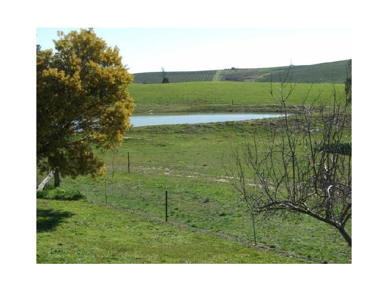 Matuga Forbes Road, Orange NSW 2800