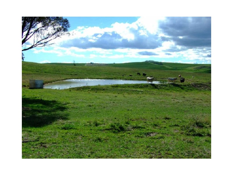 Matuga Forbes Road, Orange NSW 2800