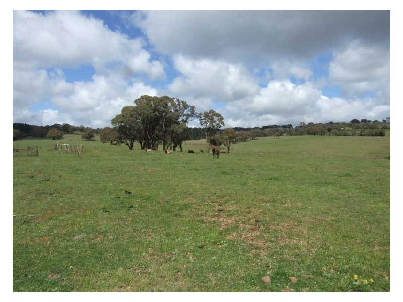 “Kareela”/1495 Cargo Road, Orange NSW 2800