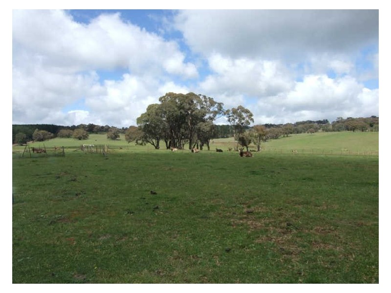 “Kareela”/1495 Cargo Road, Orange NSW 2800