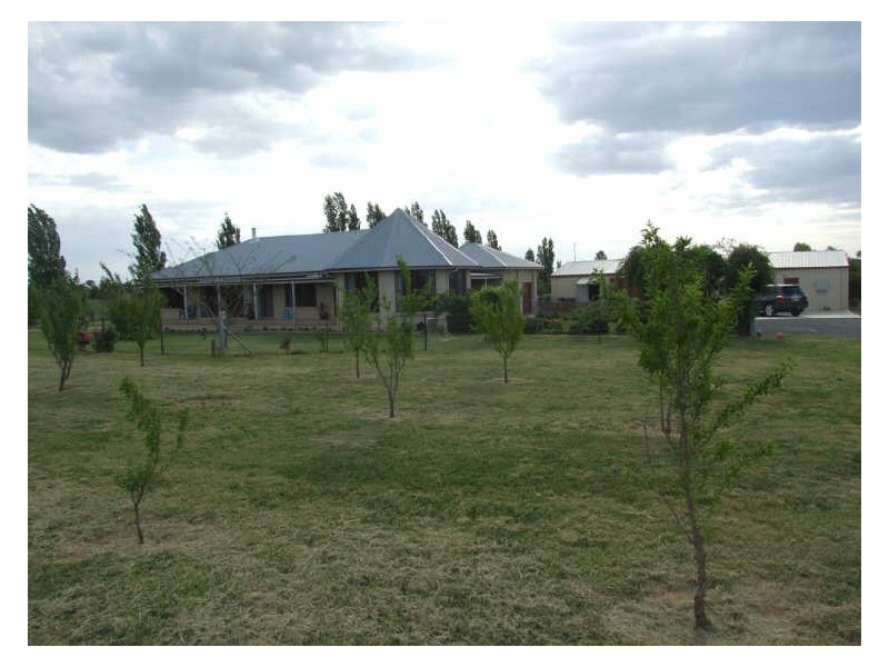 1409 Millthorpe Road, Millthorpe NSW 2798