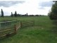 1409 Millthorpe Road, Millthorpe NSW 2798
