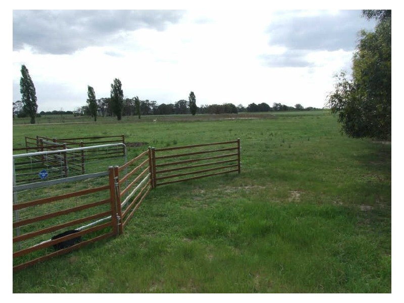 1409 Millthorpe Road, Millthorpe NSW 2798