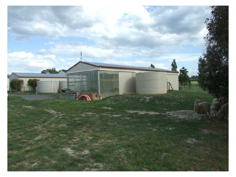 1409 Millthorpe Road, Millthorpe NSW 2798