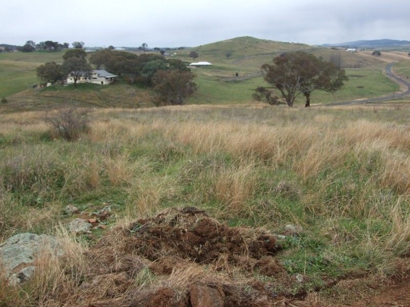 31 Windera Way, Orange NSW 2800