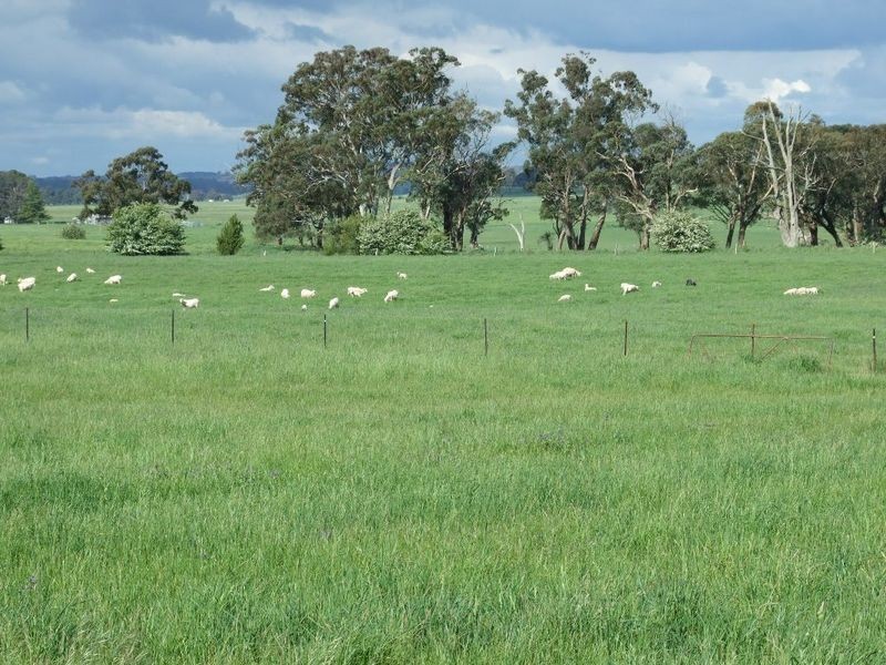 Rivendell Tallwood Road, Forest Reefs NSW 2798