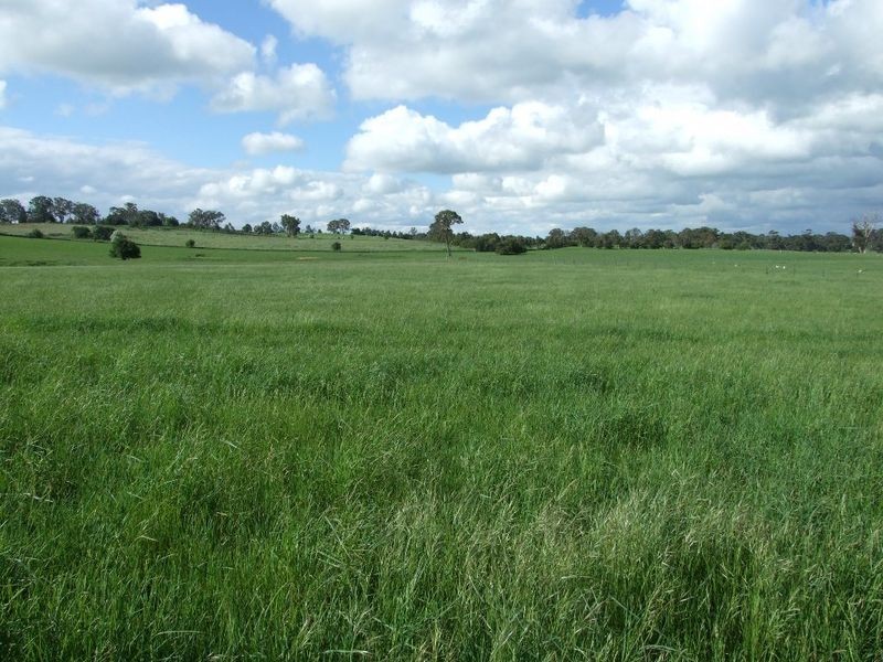 Rivendell Tallwood Road, Forest Reefs NSW 2798