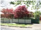 114 McLachlan St, Orange NSW 2800