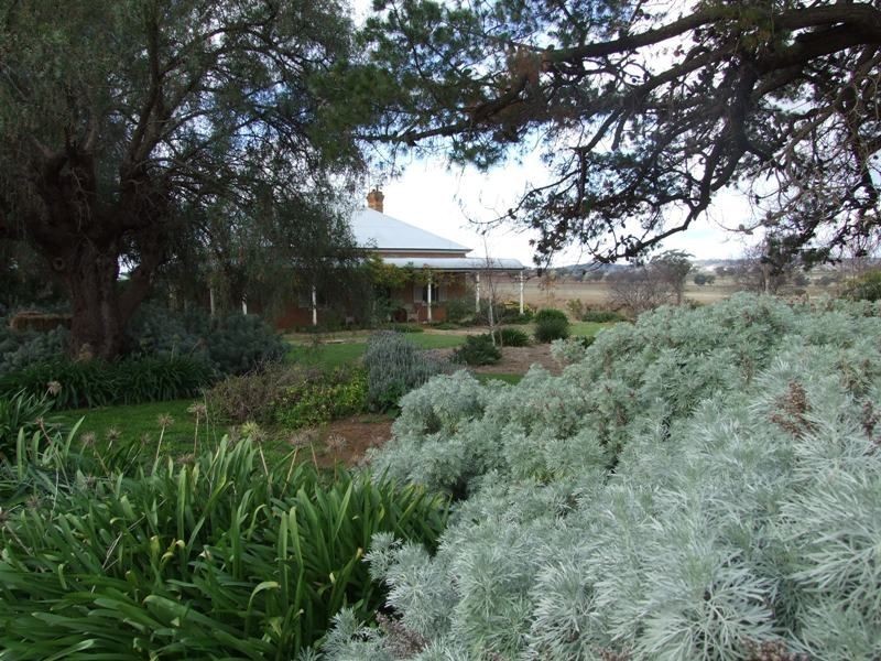 3722 Henry Parkes Way, Manildra NSW 2865