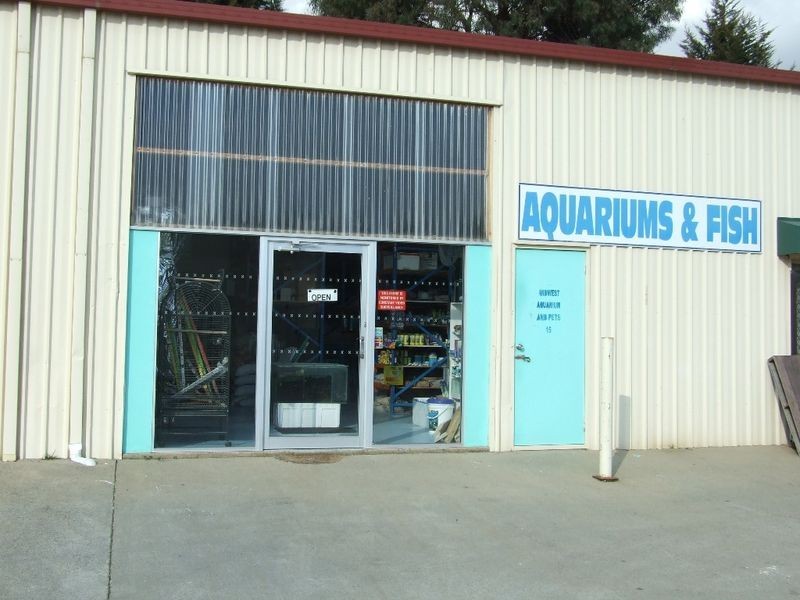 7/15/19 Elsham Avenue, Orange NSW 2800