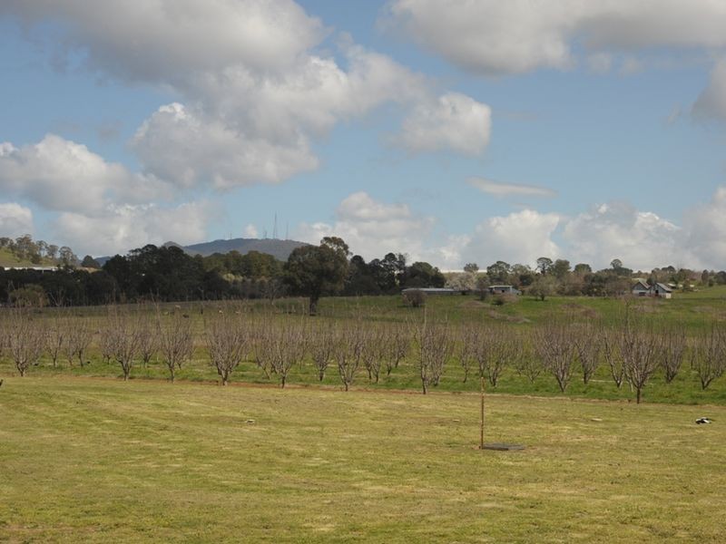 104 Lysterfield Road, Orange NSW 2800