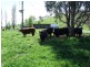 4800 Mitchell Highway, Orange NSW 2800