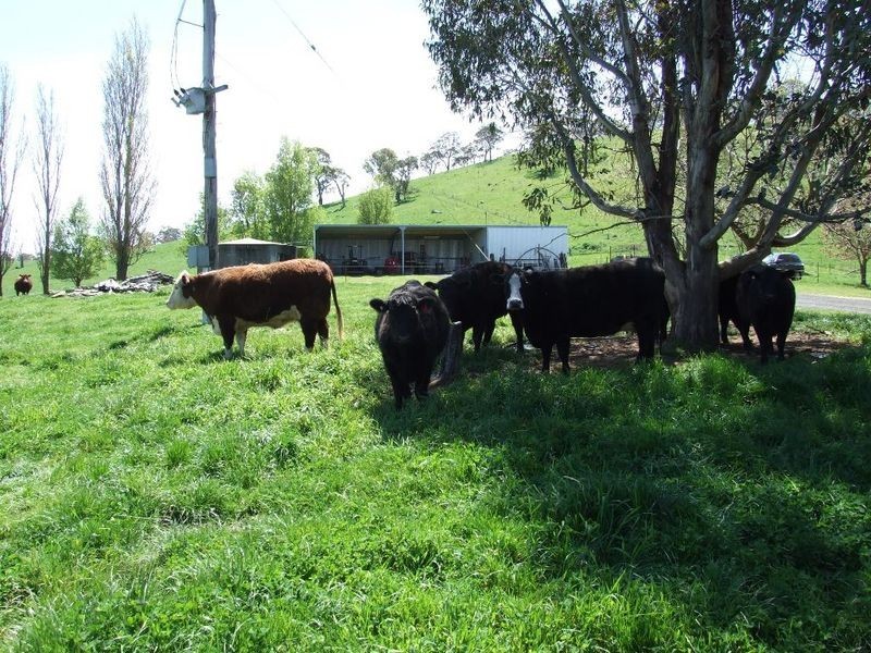 4800 Mitchell Highway, Orange NSW 2800